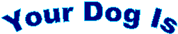 Your Dog Is